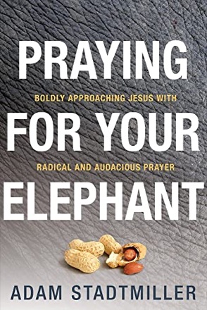 Cover of Praying for Your Elephant by Adam Stadtmiller